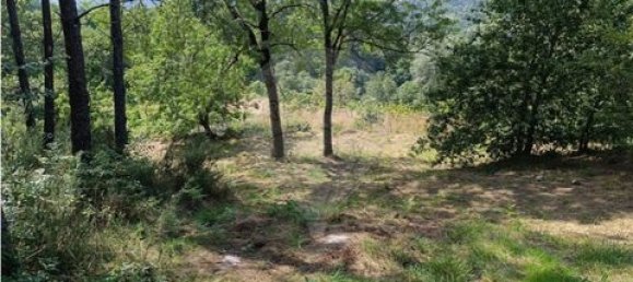 142m² Land in Guimaraes, Portugal No. 190044 28