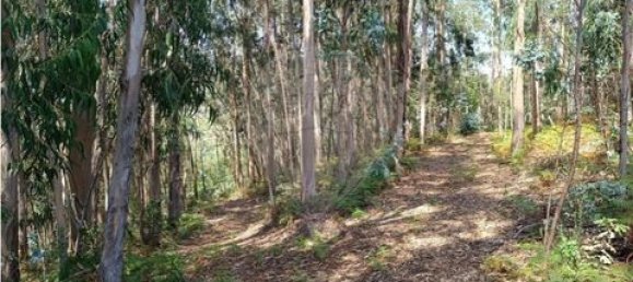 142m² Land in Guimaraes, Portugal No. 190044 2