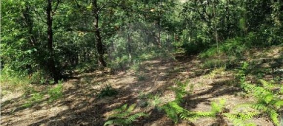 142m² Land in Guimaraes, Portugal No. 190044 13