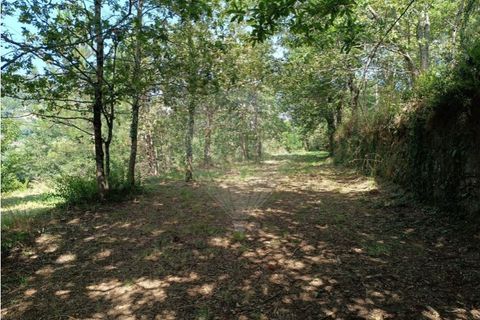 142m² Land in Guimaraes, Portugal No. 190044