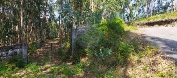 142m² Land in Guimaraes, Portugal No. 190044 21