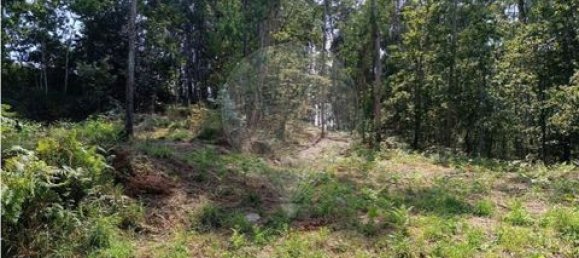 142m² Land in Guimaraes, Portugal No. 190044 11