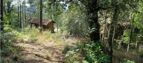 142m² Land in Guimaraes, Portugal No. 190044 3