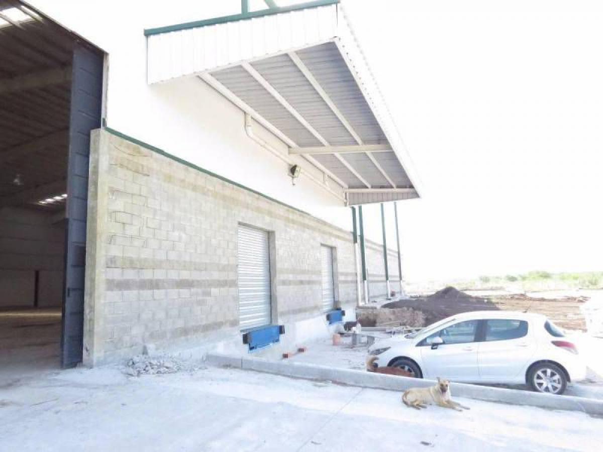 Gewerbliche Immobilie in Ezeiza, Argentina 12800m², Nr. 27185