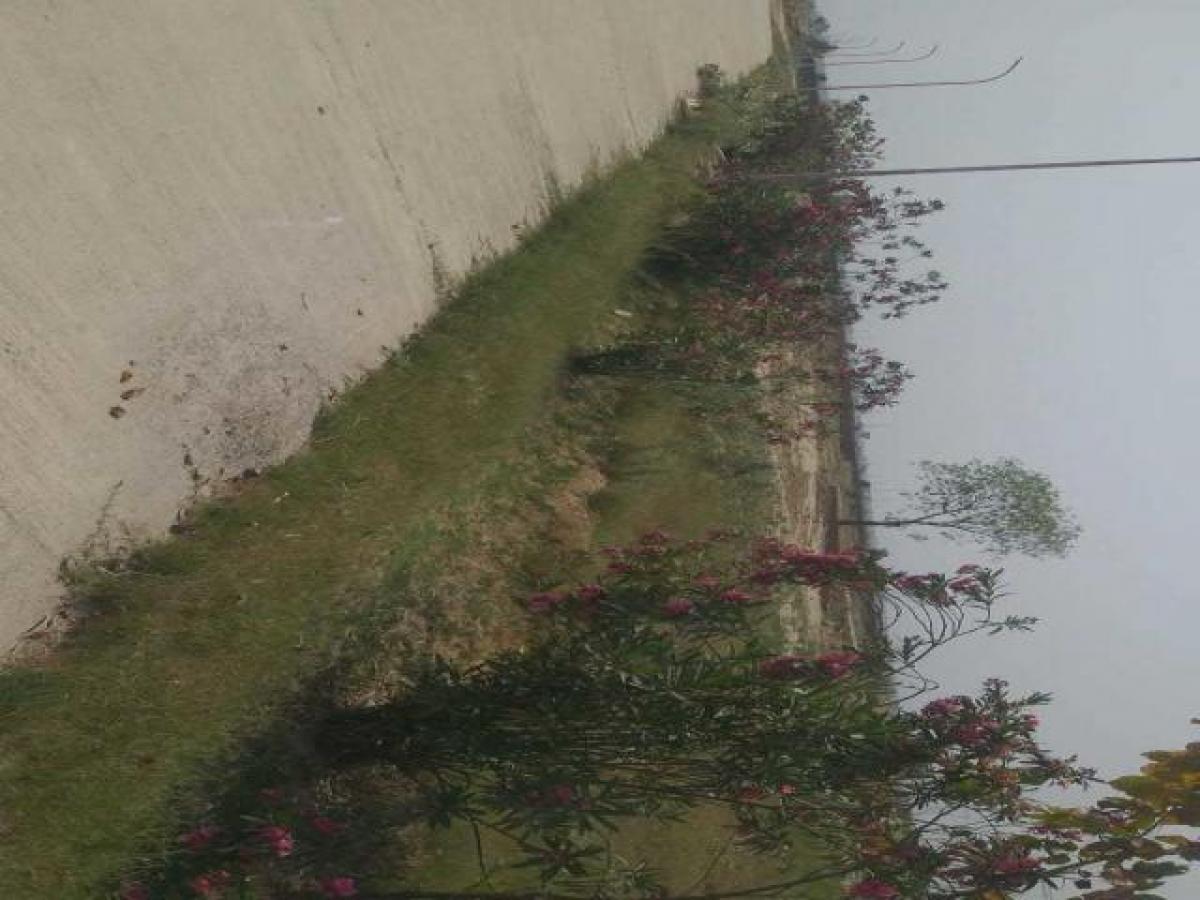 Grundstück in Noida, India, Nr. 65744