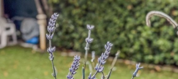 2 bedrooms Villa in Camaiore, Italy No. 358171 23