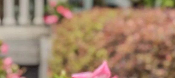 2 bedrooms Villa in Camaiore, Italy No. 358171 42