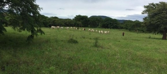 Terra em Nicoya, Costa Rica N.º 1507 6