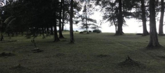  Commercial property in Phuket, Thailand No. 12654 4