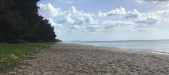  Commercial property in Phuket, Thailand No. 12654 5