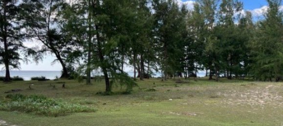  Commercial property in Phuket, Thailand No. 12654 7