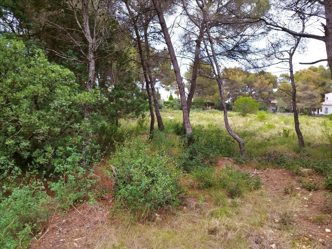 Grundstück in Alicante, Spain 4962m², Nr. 254458