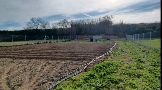 Grundstück in Moguer, Spain 1300m², Nr. 197596