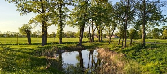 2-salle Maison à Stendal, Germany No. 177823 13