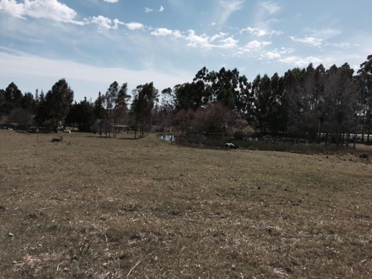  Farm in Maldonado, Uruguay No. 15714