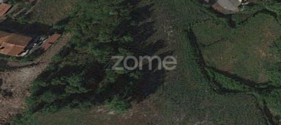 Terrain à Rebordoes, Portugal No. 151850 19