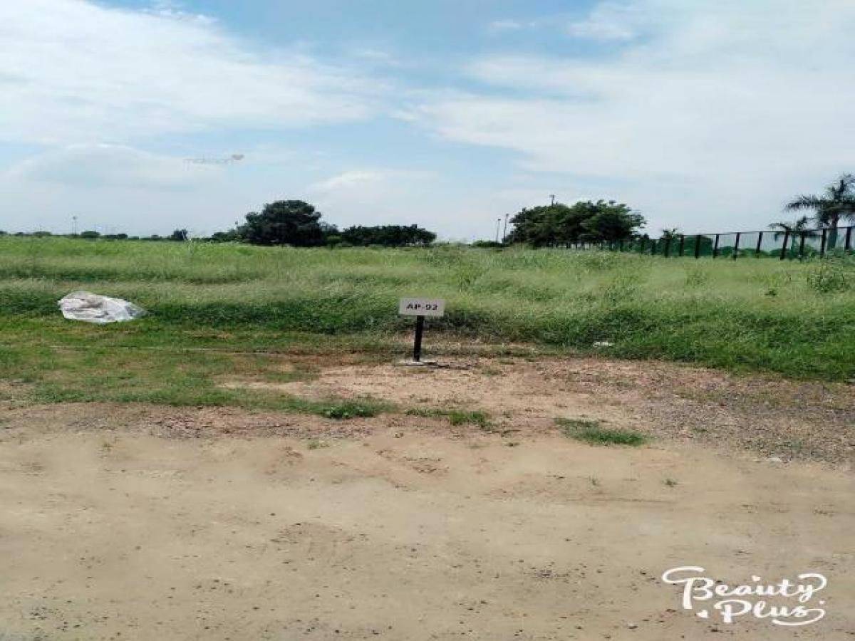 Grundstück in Mohali, India, Nr. 32389