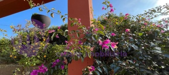 5 bedrooms House in Obidos, Portugal No. 109524 2