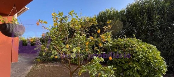 5 bedrooms House in Obidos, Portugal No. 109524 3