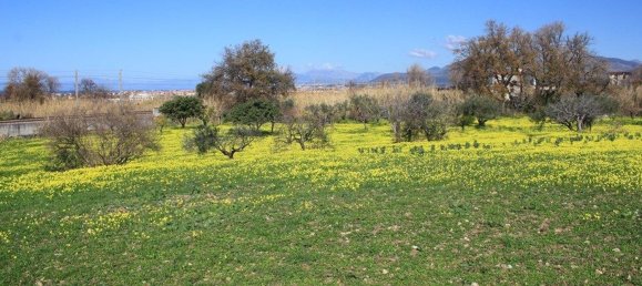  قطعة أرض في Grisolia, Italy 11150متر مربع رقم 68019 4