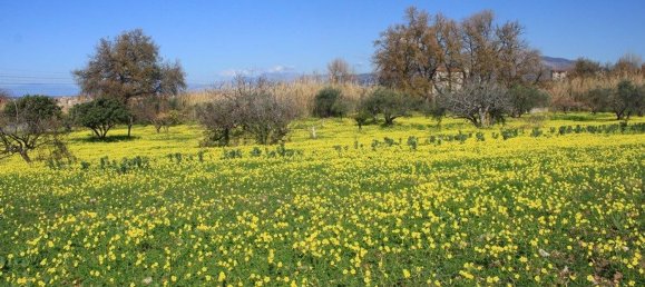  قطعة أرض في Grisolia, Italy 11150متر مربع رقم 68019 8