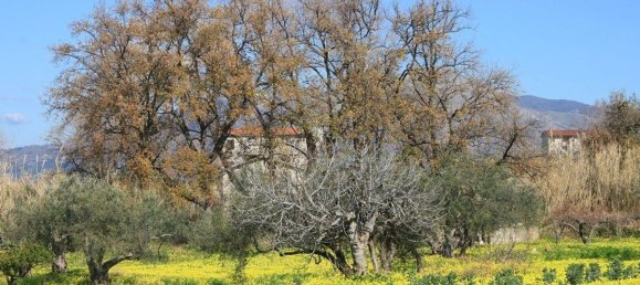  قطعة أرض في Grisolia, Italy 11150متر مربع رقم 68019 11