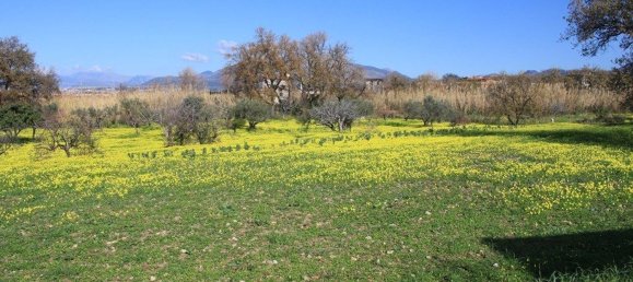  قطعة أرض في Grisolia, Italy 11150متر مربع رقم 68019 5