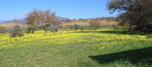  قطعة أرض في Grisolia, Italy 11150متر مربع رقم 68019 6