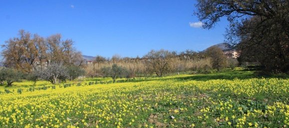  قطعة أرض في Grisolia, Italy 11150متر مربع رقم 68019 10