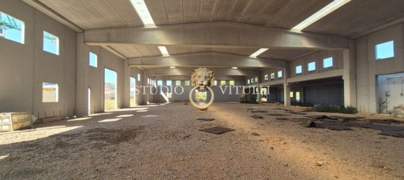 2000m² Warehouse in Bari, Italy No. 349143 4
