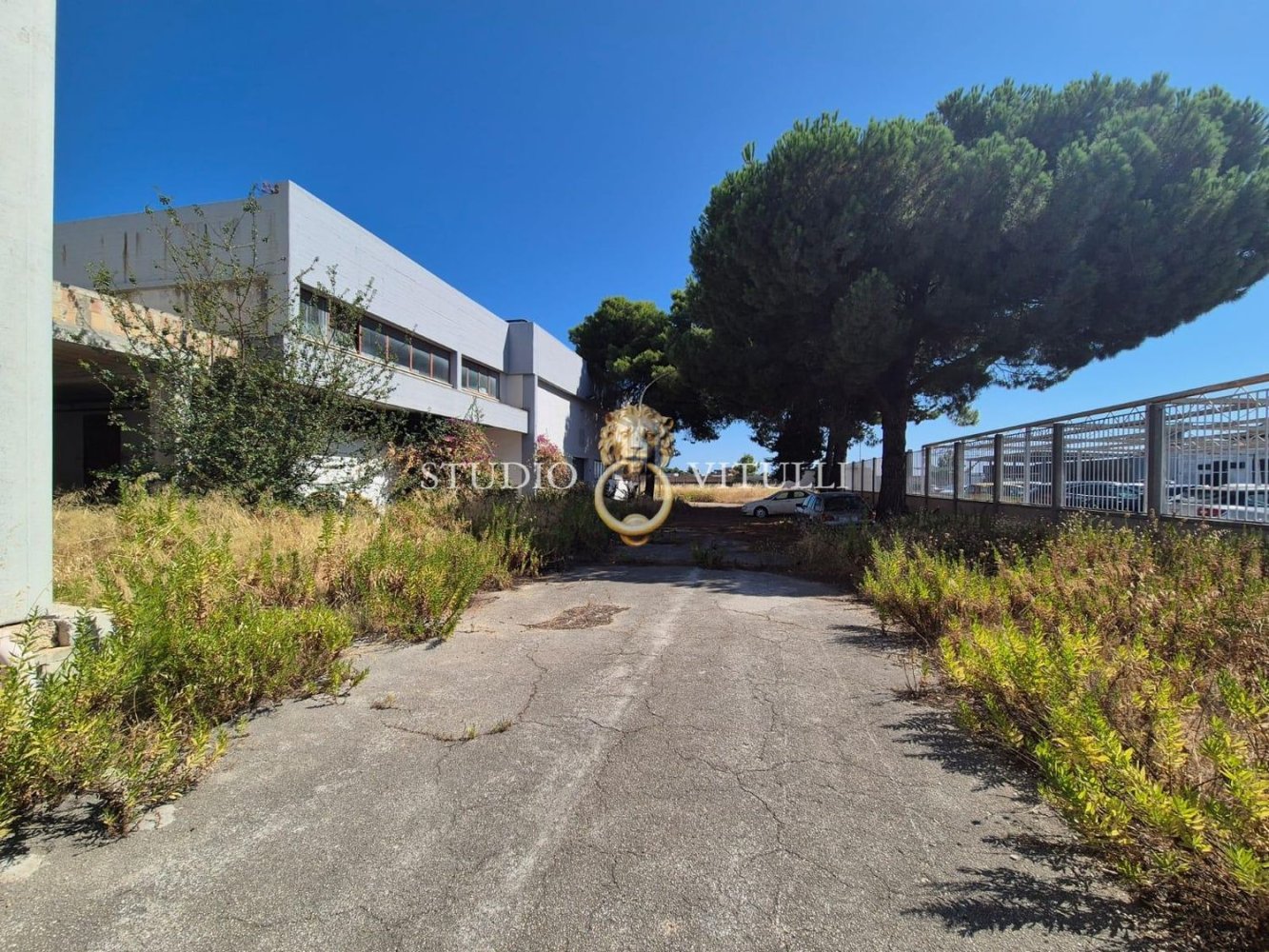 2000m² Warehouse in Bari, Italy No. 349143