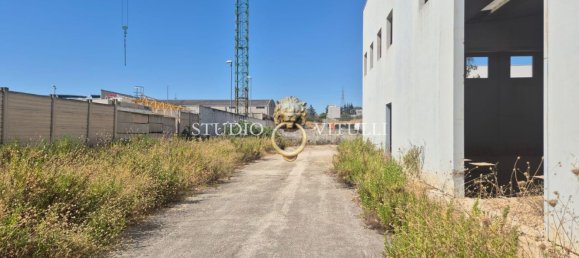 2000m² Warehouse in Bari, Italy No. 349143 2