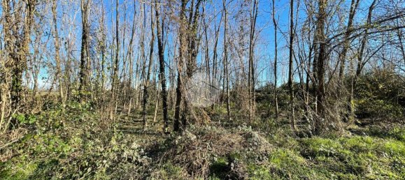 Grundstück in Robecco sul Naviglio, Italy 3000m², Nr. 62945 7