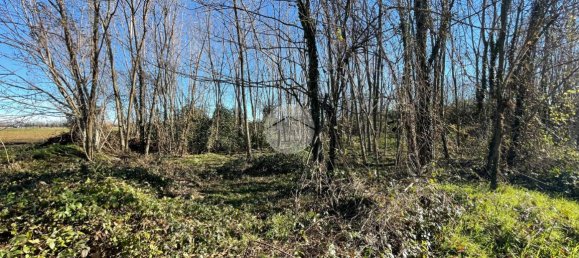 Grundstück in Robecco sul Naviglio, Italy 3000m², Nr. 62945 11