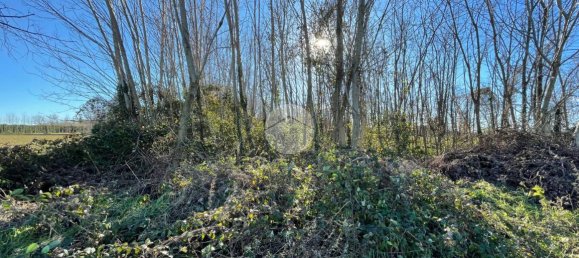 Grundstück in Robecco sul Naviglio, Italy 3000m², Nr. 62945 5