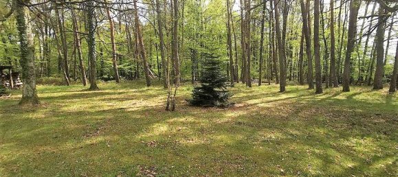 4 Schlafzimmer Haus in Nesploy, France, Nr. 77682 4