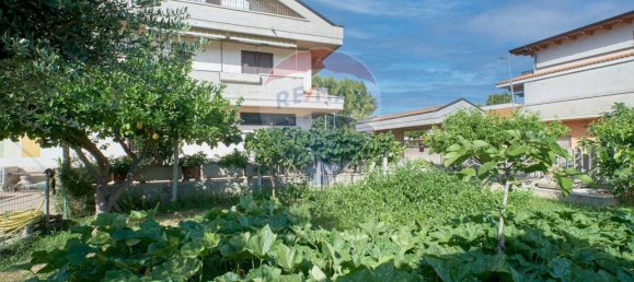 1 bedroom Apartment in Francavilla al Mare, Italy No. 293644 35