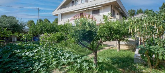 1 bedroom Apartment in Francavilla al Mare, Italy No. 293644 6