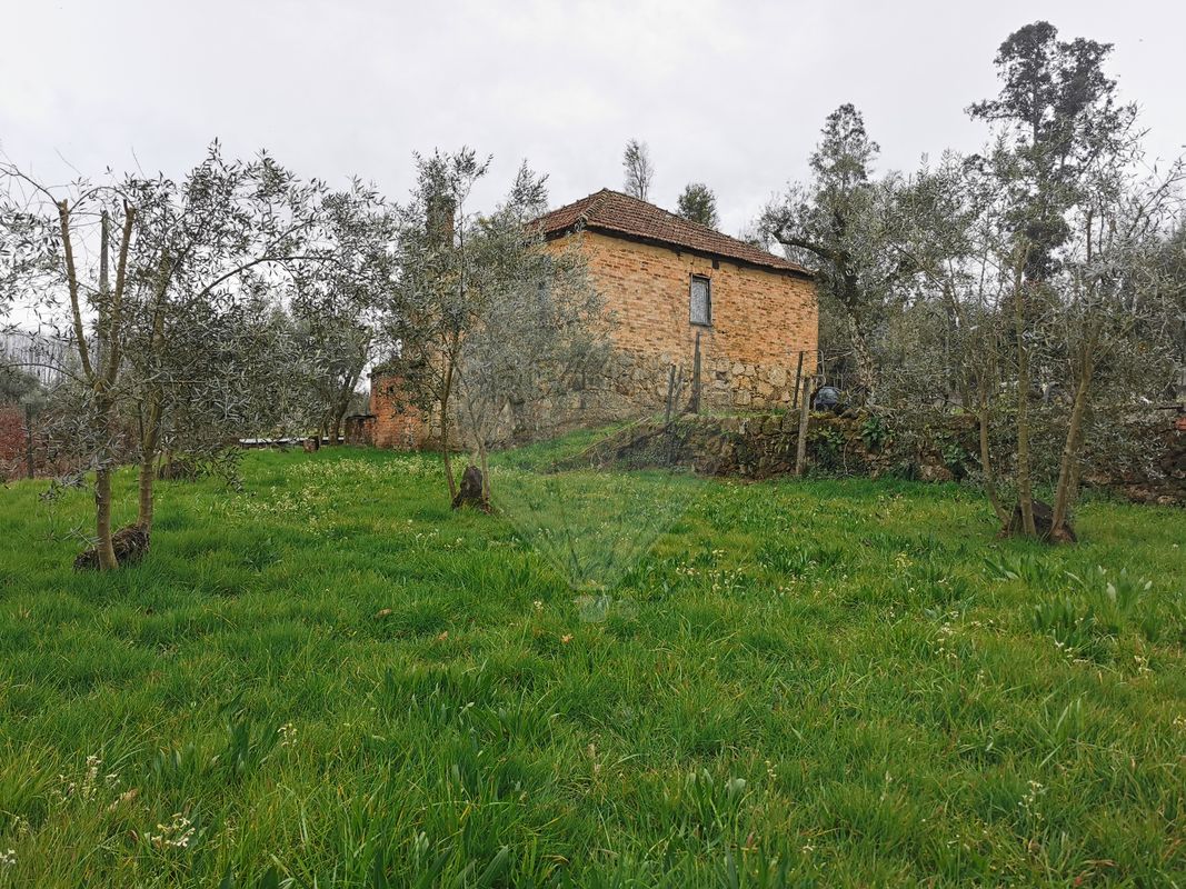 2 chambres Maison à Canas de Santa Maria, Portugal No. 173960