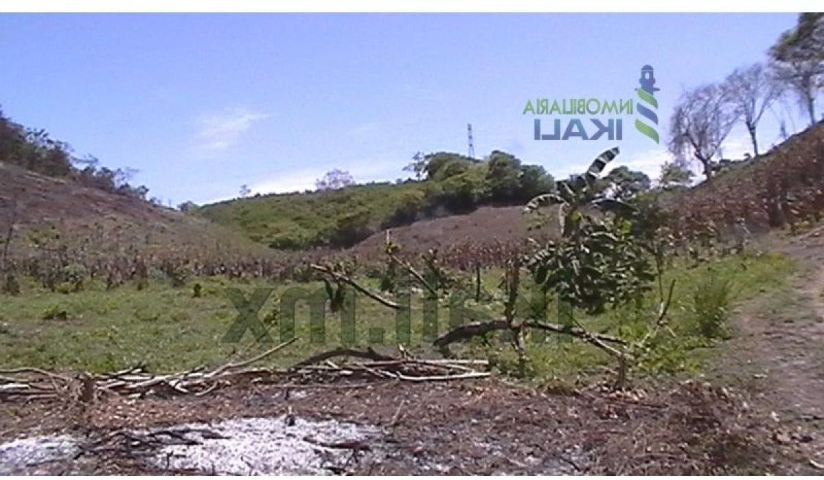 Grundstück in Veracruz, Mexico, Nr. 206151