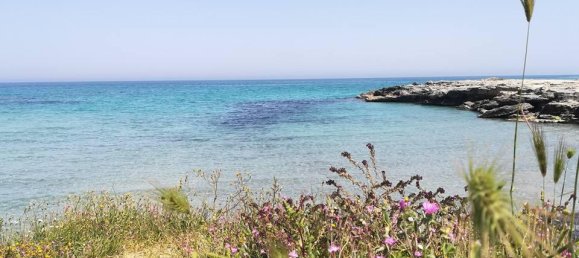 5-Zimmer Wohnung in Melendugno, Italy, Nr. 1790 31