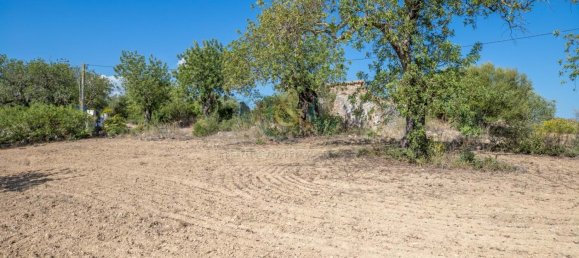 4 bedrooms Land in Santa Catarina da Fonte do Bispo, Portugal No. 68744 15