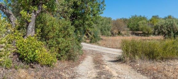 4 bedrooms Land in Santa Catarina da Fonte do Bispo, Portugal No. 68744 16