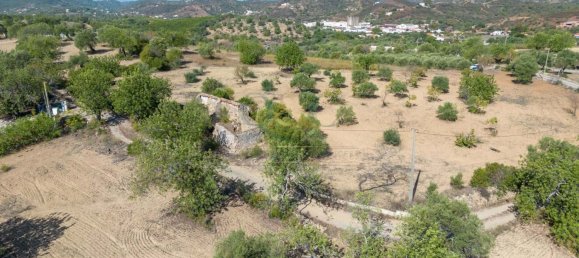 4 bedrooms Land in Santa Catarina da Fonte do Bispo, Portugal No. 68744 11