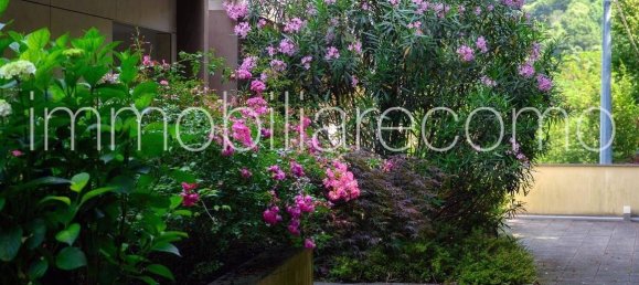 3 bedrooms Penthouse in Faggeto Lario, Italy No. 270089 26