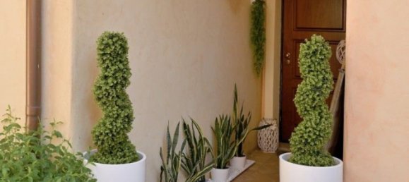 2-salle Appartement à Olbia, Italy No. 289369 13