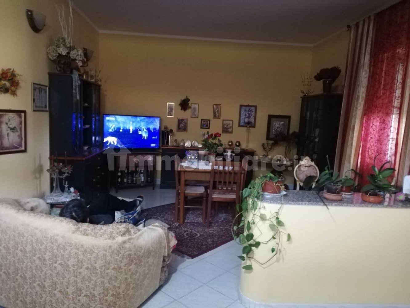 2 bedrooms Apartment in Anoia, Italy No. 256453