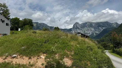 Земельный участок в Лицен, Австрия № 203970