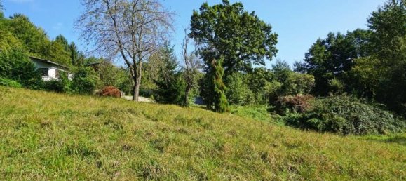  Land in Pressbaum, Austria No. 28305 6