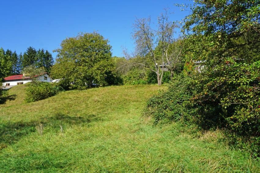  Land in Pressbaum, Austria No. 28305